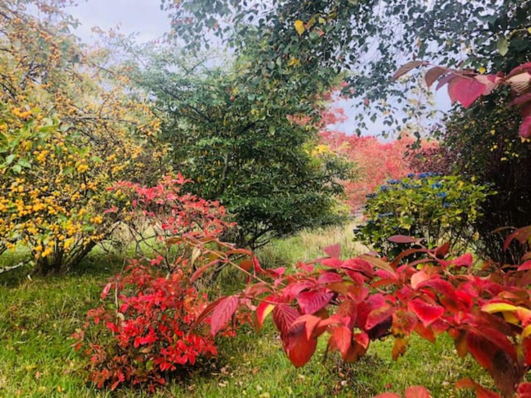 Home Comforts In Peaceful 2 Acres Ίνβερνες Εξωτερικό φωτογραφία